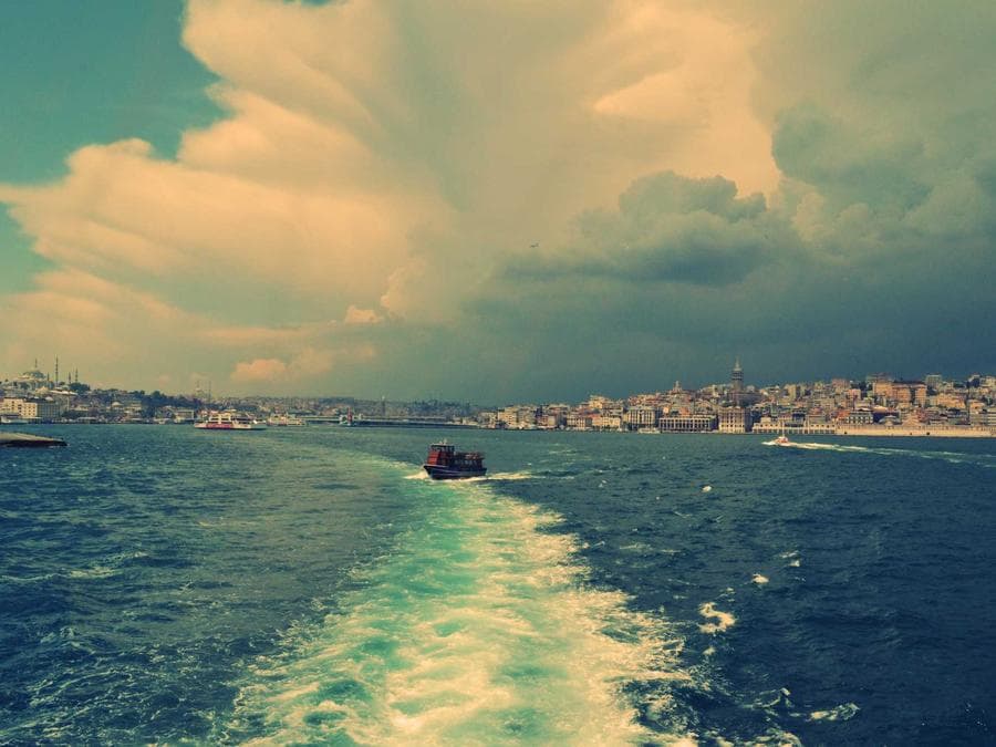 مزرعة مثمرة مع بيت حارس — صورة 3